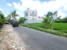 Selangkah ke Std. Maguwoharjo, Tepi Jln Aspal