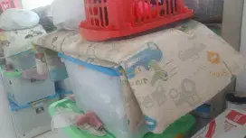 Karpet main anak