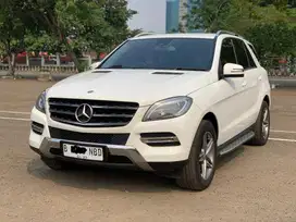 MERCY ML250 CDI AT PUTIH 2015