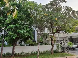 Disewakan Rumah 5 KT Siap Huni Di Sektor 7 Bintaro Gb16827