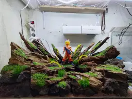 Aquascape tema dragonball uk.60x30