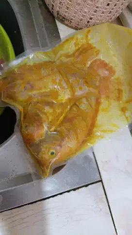 Ayam tulang lunak