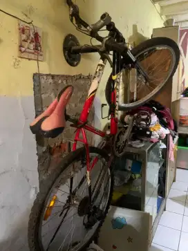 speda mtb united