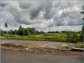 Investasi Tanah Murah di Jogja Lokasi Emas Jl. Godean Sleman