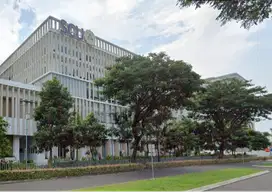 Disewakan Ruko BSB City 2LT/3LT Kedaton & Beranda Bali Siap Pakai