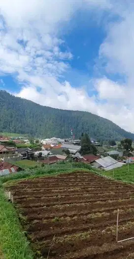 Tanah Kemuning 395Mt, Ld 14Mt, telaga Madirda, Ngargoyoso,Karang anya