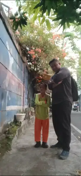 Mencari pekerjaan
