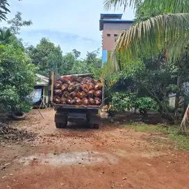 Dicari tukang jaga kebun sawit pribadi