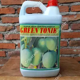 Pelebat Ori/Asli Buah Mangga KIOJAY/ThailandNo1 Didunia Mrek GrenTonic