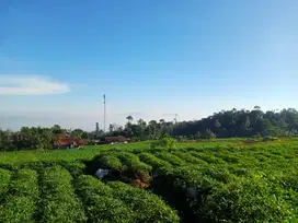 Tanah SHM pemandangan kota bandung gunung Puntang