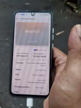 Oppo Reno 12 f 8/256