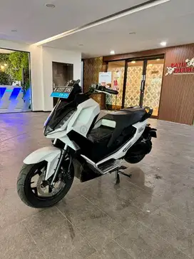 ALVA CERVO 2023