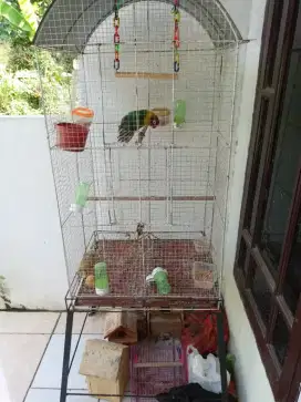 Kandang burung love bird , parkit dll