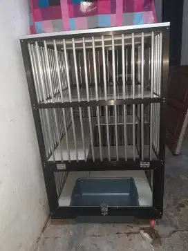Rumah Kucing Kondisi Bekas