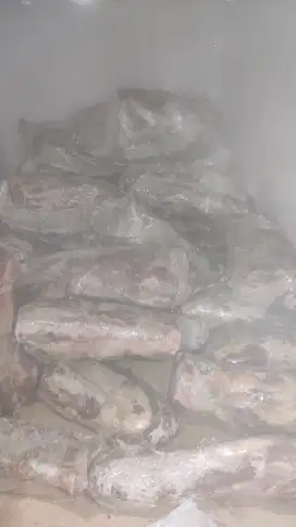 Jual Buntut sapi Bandung dan sekitarnya