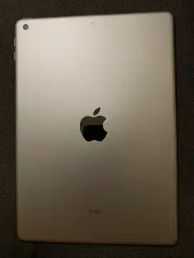 Ipad gen 5 128GB MULUSSSSS