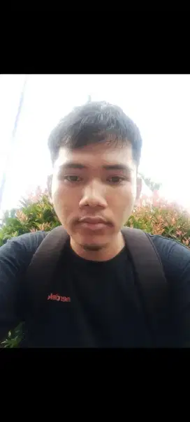 Sedang mencari pekerjaan