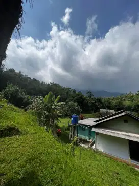 Dijual rumah villa