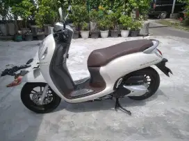 Scoopy cantik 2024