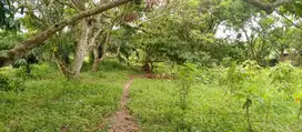Dijual cepat tanah Pinggir Jalan di Desa Ujung Serdang, TANJUNG MORAWA