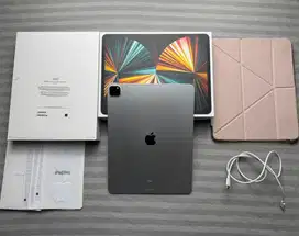 iPad Pro M1 12.9 256gb iBox