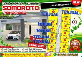 TANAH KAVLING BARAT PASAR SUMOROTO