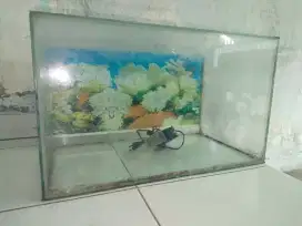 Aquarium 60 x 35 x 40 Bekas masih bagus berikut pompa