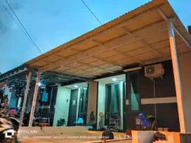 canopy alderon 33