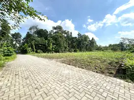 Prospek Bangun Kos, Tanah Murah Belakang Kampus