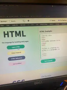 Pengajar HTML Java SQL