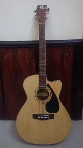 Gitar akustik elektrik