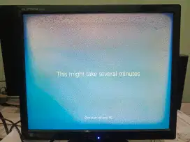 Monitor LG Flatron L1742S