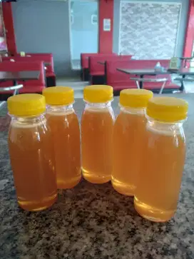 Madu Apis Cerana (Ternak) dan Apis Dorsata (Liar/Hutan) Madu Asli 100%