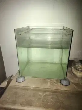 Aquarium ikan ukuran 50x50