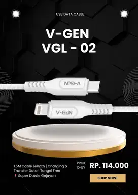 V-GEN VGL-02 USB C TO LIGHTNING