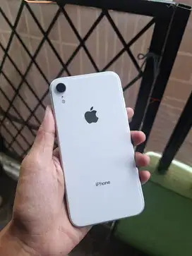 Iphone xr 64gb ibox