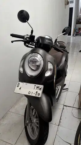 Scoopy Stylist Keyless 2023