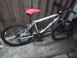 MTB united UK 24