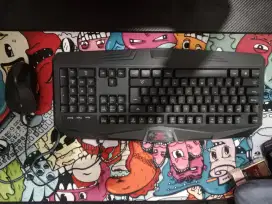 Mouse + Keyboard Gaming