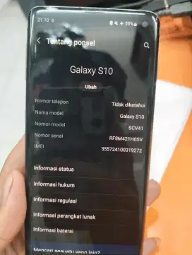samsung S10 biasa