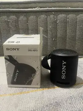 Speaker portable sony srs xb13