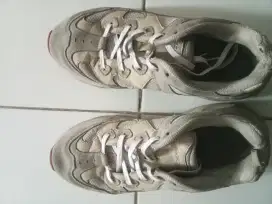 Sepatu Skechers Pria