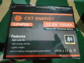 Battery Lifepo4 12v 100ah Lithium Batere BMS