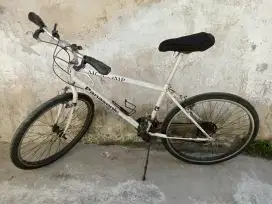 Sepeda Panasonic