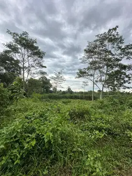Dijual tanah kavling tenjo bogor 1jutaan per meter SHM