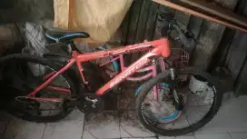 Jual aja speda daripada ga ke pake