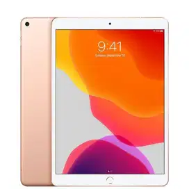 ipad air 3 rose wifionly lengkap