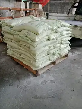 CASTING APLUS / GYPSUM CASTING