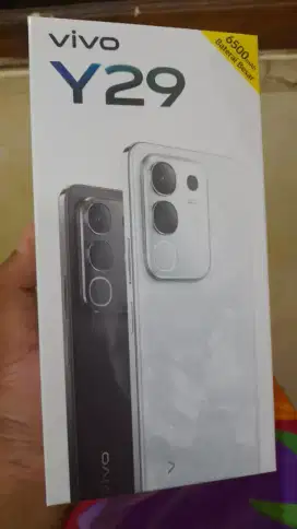 Vivo Y29 8+8 /128 (BARU)