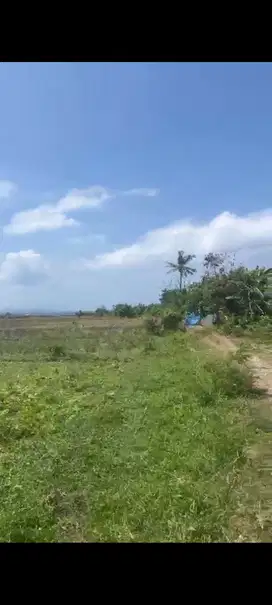 Tanah Dijual Di Gianyar Bali Land For Sale